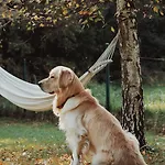 Sen I Wino, Na Winnicy Ze Strefa Parco vacanze