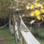 Sen I Wino, Na Winnicy Ze Strefa *