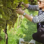 Parco vacanze Sen I Wino, Na Winnicy Ze Strefa Żywiec