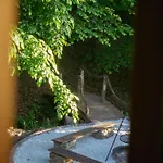 Sen I Wino, Na Winnicy Ze Strefa Żywiec