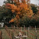 Parco vacanze Sen I Wino, Na Winnicy Ze Strefa Żywiec