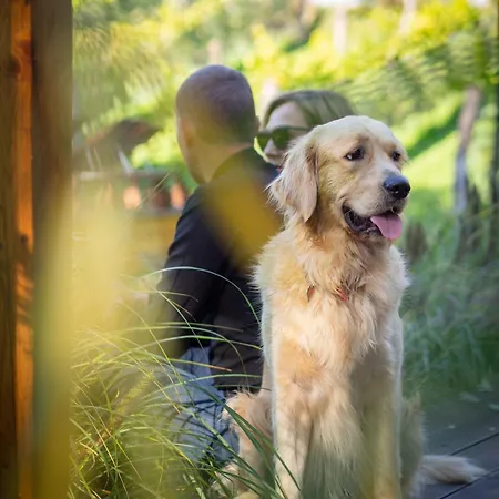 Tatil parkı Sen I Wino, Na Winnicy Ze Strefa *
