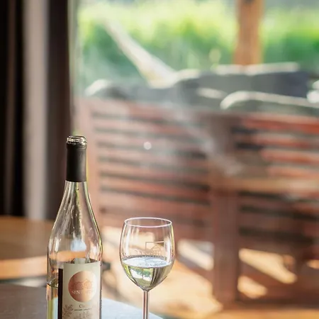 Sen I Wino, I Na Winnicy Ze Strefa Tatil parkı *