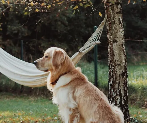 Sen I Wino, Na Winnicy Ze Strefa פארק נופש