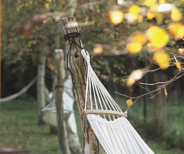 Sen I Wino, Na Winnicy Ze Strefa *