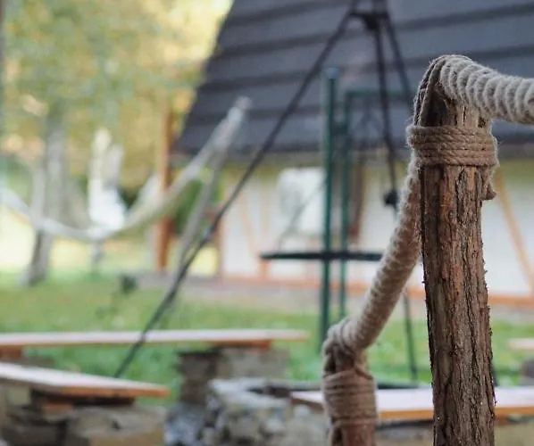 Sen I Wino, Na Winnicy Ze Strefa * Żywiec