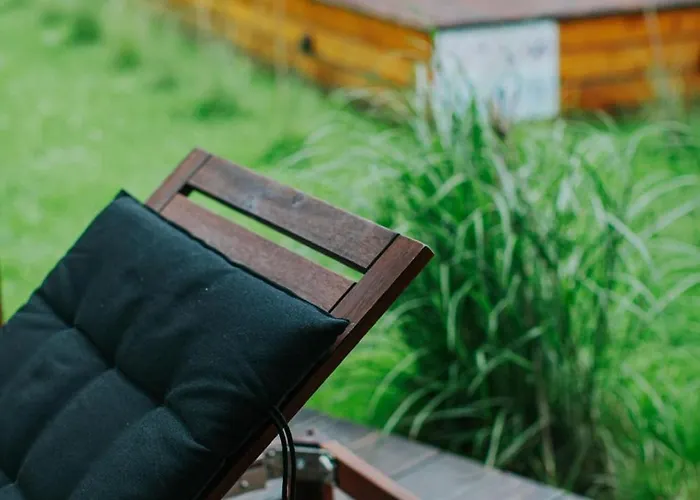 Sen I Wino, Na Winnicy Ze Strefa