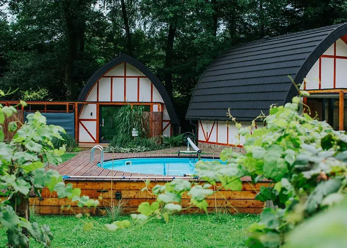 Sen I Wino, Na Winnicy Ze Strefa *