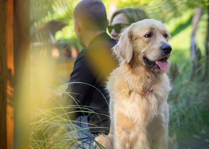 פארק נופש Sen I Wino, Na Winnicy Ze Strefa *