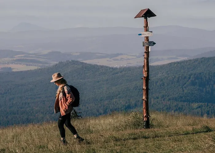 Sen I Wino, Na Winnicy Ze Strefa *