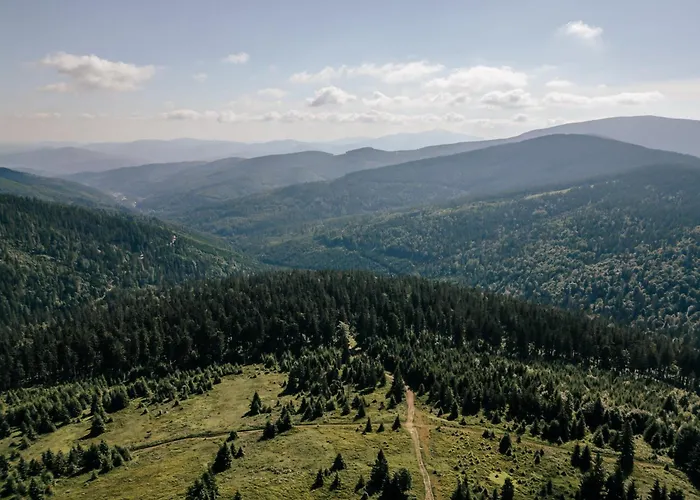 Sen I Wino, Na Winnicy Ze Strefa Żywiec