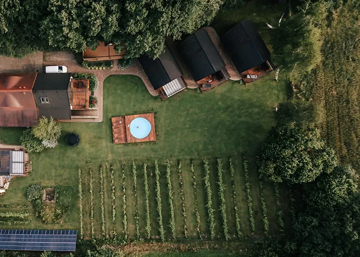 Sen I Wino, Na Winnicy Ze Strefa * Żywiec