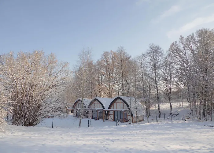 Sen I Wino, Na Winnicy Ze Strefa