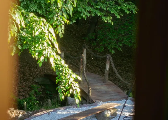 Sen I Wino, Na Winnicy Ze Strefa Żywiec