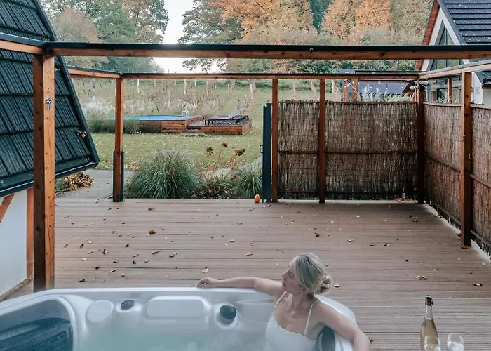 Sen I Wino, Na Winnicy Ze Strefa *