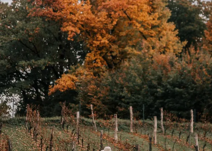 Village de vacances Sen I Wino, Na Winnicy Ze Strefa Żywiec