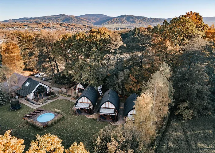 Sen I Wino, Na Winnicy Ze Strefa Żywiec